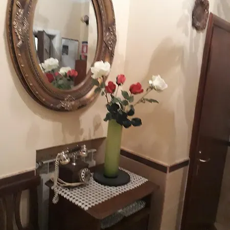 Alex Guest house